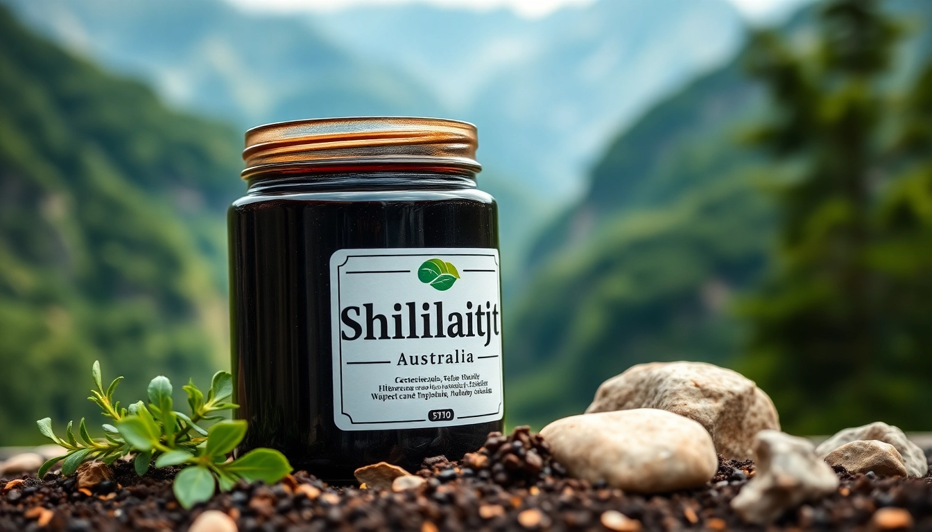 Experience the purity and benefits of Shilajit Australia resin amidst stunning Himalayan scenery.